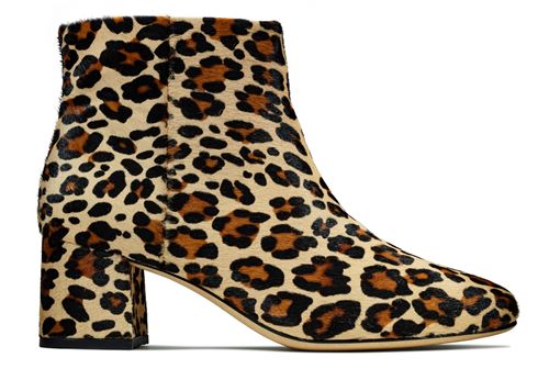 Animal Print: A Timeless Classic | Clifton Retail Park